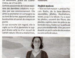 pascale bodin, carnettiste, noël, carnet, nature