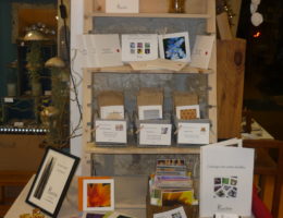 pascalebodin, Pascale Bodin, carnettiste, Brin de magie, salon, carnet, carnet de nature